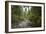 Oregon Coast Trail. Oswald West State Park, OR-Justin Bailie-Framed Photographic Print