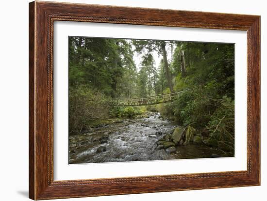 Oregon Coast Trail. Oswald West State Park, OR-Justin Bailie-Framed Photographic Print