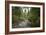 Oregon Coast Trail. Oswald West State Park, OR-Justin Bailie-Framed Photographic Print