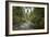 Oregon Coast Trail. Oswald West State Park, OR-Justin Bailie-Framed Photographic Print