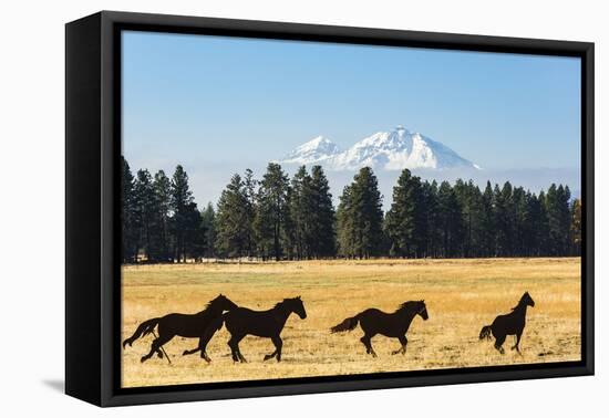 Oregon, Columbia River Basin, Deschutes River Basin, metal sculpture of mustangs in field-Alison Jones-Framed Premier Image Canvas