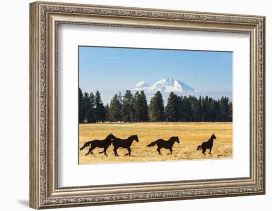 Oregon, Columbia River Basin, Deschutes River Basin, metal sculpture of mustangs in field-Alison Jones-Framed Photographic Print