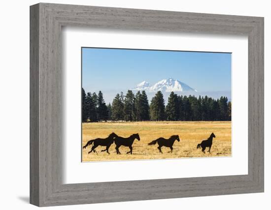 Oregon, Columbia River Basin, Deschutes River Basin, metal sculpture of mustangs in field-Alison Jones-Framed Photographic Print