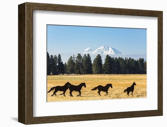 Oregon, Columbia River Basin, Deschutes River Basin, metal sculpture of mustangs in field-Alison Jones-Framed Photographic Print