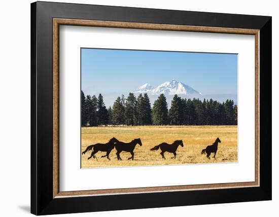 Oregon, Columbia River Basin, Deschutes River Basin, metal sculpture of mustangs in field-Alison Jones-Framed Photographic Print