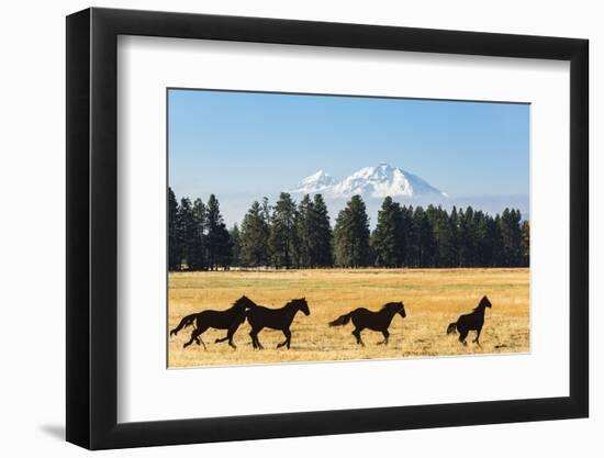 Oregon, Columbia River Basin, Deschutes River Basin, metal sculpture of mustangs in field-Alison Jones-Framed Photographic Print