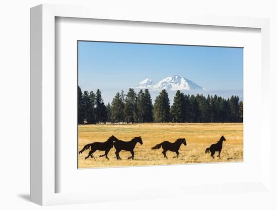 Oregon, Columbia River Basin, Deschutes River Basin, metal sculpture of mustangs in field-Alison Jones-Framed Photographic Print