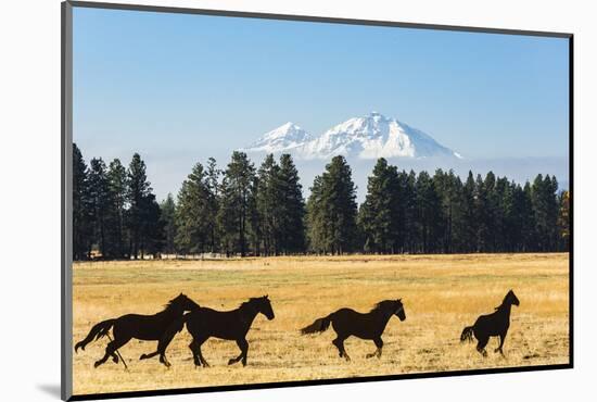 Oregon, Columbia River Basin, Deschutes River Basin, metal sculpture of mustangs in field-Alison Jones-Mounted Photographic Print