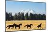 Oregon, Columbia River Basin, Deschutes River Basin, metal sculpture of mustangs in field-Alison Jones-Mounted Photographic Print