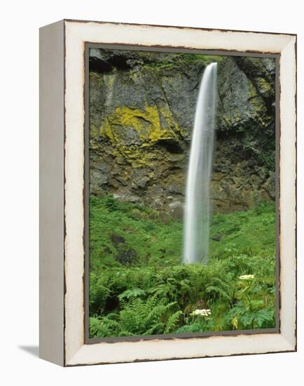 Oregon, Columbia River Gorge National Scenic Area. Elowah Falls-Steve Terrill-Framed Premier Image Canvas