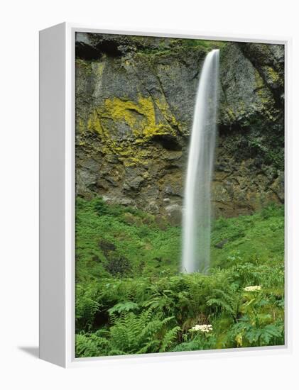 Oregon, Columbia River Gorge National Scenic Area. Elowah Falls-Steve Terrill-Framed Premier Image Canvas