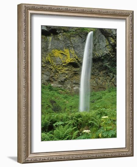 Oregon, Columbia River Gorge National Scenic Area. Elowah Falls-Steve Terrill-Framed Photographic Print