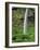 Oregon, Columbia River Gorge National Scenic Area. Elowah Falls-Steve Terrill-Framed Photographic Print