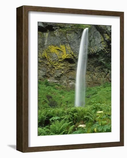 Oregon, Columbia River Gorge National Scenic Area. Elowah Falls-Steve Terrill-Framed Photographic Print