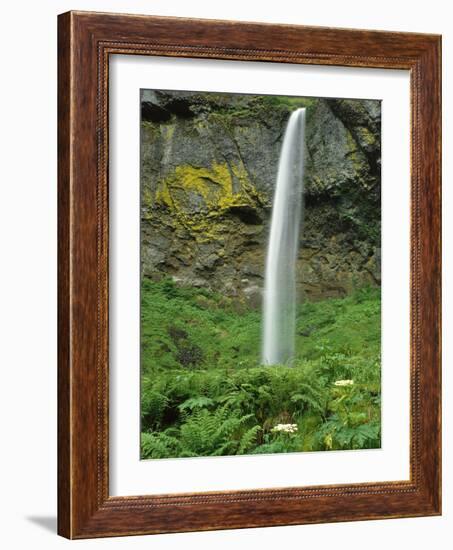 Oregon, Columbia River Gorge National Scenic Area. Elowah Falls-Steve Terrill-Framed Photographic Print