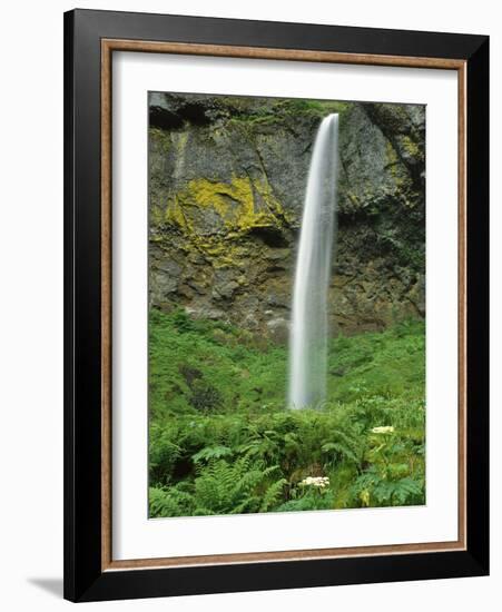 Oregon, Columbia River Gorge National Scenic Area. Elowah Falls-Steve Terrill-Framed Photographic Print