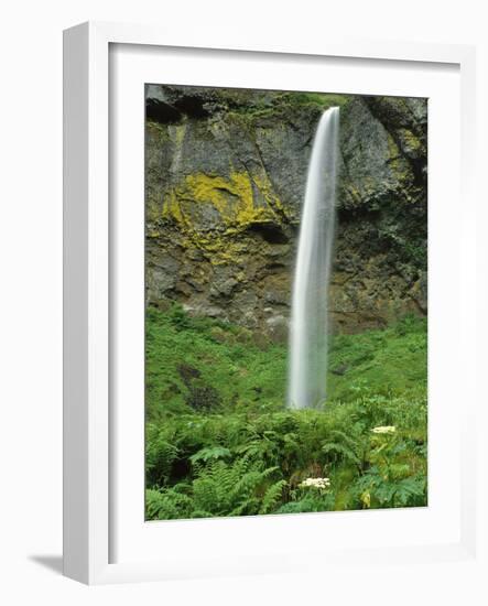 Oregon, Columbia River Gorge National Scenic Area. Elowah Falls-Steve Terrill-Framed Photographic Print