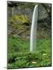 Oregon, Columbia River Gorge National Scenic Area. Elowah Falls-Steve Terrill-Mounted Photographic Print