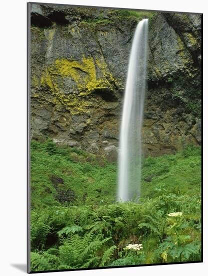 Oregon, Columbia River Gorge National Scenic Area. Elowah Falls-Steve Terrill-Mounted Photographic Print