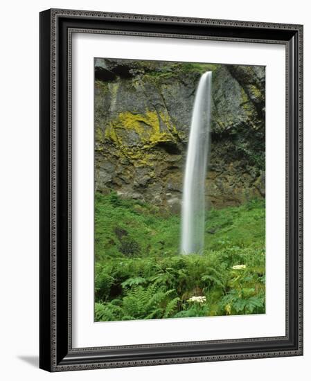 Oregon, Columbia River Gorge National Scenic Area. Elowah Falls-Steve Terrill-Framed Photographic Print