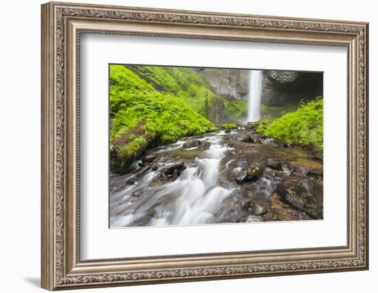 Oregon, Columbia River Gorge National Scenic Area, Latourell Creek and Falls-Jamie & Judy Wild-Framed Photographic Print