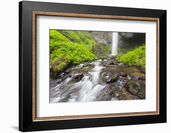 Oregon, Columbia River Gorge National Scenic Area, Latourell Creek and Falls-Jamie & Judy Wild-Framed Photographic Print