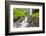 Oregon, Columbia River Gorge National Scenic Area, Latourell Creek and Falls-Jamie & Judy Wild-Framed Photographic Print