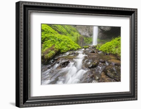 Oregon, Columbia River Gorge National Scenic Area, Latourell Creek and Falls-Jamie & Judy Wild-Framed Photographic Print