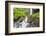 Oregon, Columbia River Gorge National Scenic Area, Latourell Creek and Falls-Jamie & Judy Wild-Framed Photographic Print