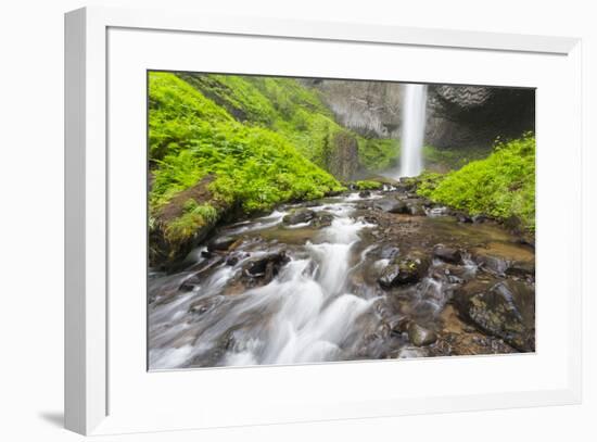 Oregon, Columbia River Gorge National Scenic Area, Latourell Creek and Falls-Jamie & Judy Wild-Framed Premium Photographic Print