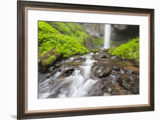 Oregon, Columbia River Gorge National Scenic Area, Latourell Creek and Falls-Jamie & Judy Wild-Framed Premium Photographic Print