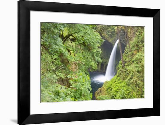 Oregon, Columbia River Gorge National Scenic Area, Metlako Falls-Jamie & Judy Wild-Framed Premium Photographic Print