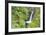 Oregon, Columbia River Gorge National Scenic Area, Metlako Falls-Jamie & Judy Wild-Framed Premium Photographic Print