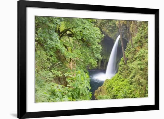Oregon, Columbia River Gorge National Scenic Area, Metlako Falls-Jamie & Judy Wild-Framed Premium Photographic Print