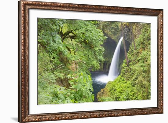 Oregon, Columbia River Gorge National Scenic Area, Metlako Falls-Jamie & Judy Wild-Framed Premium Photographic Print