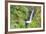 Oregon, Columbia River Gorge National Scenic Area, Metlako Falls-Jamie & Judy Wild-Framed Premium Photographic Print