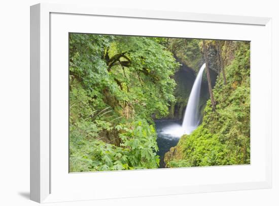 Oregon, Columbia River Gorge National Scenic Area, Metlako Falls-Jamie & Judy Wild-Framed Premium Photographic Print