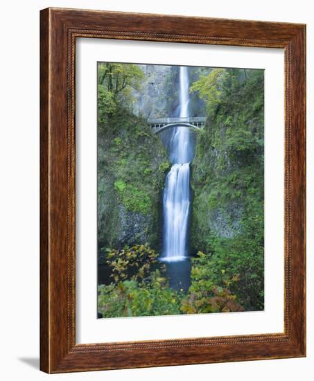 Oregon, Columbia River Gorge National Scenic Area, Multnomah Falls-Jamie & Judy Wild-Framed Photographic Print