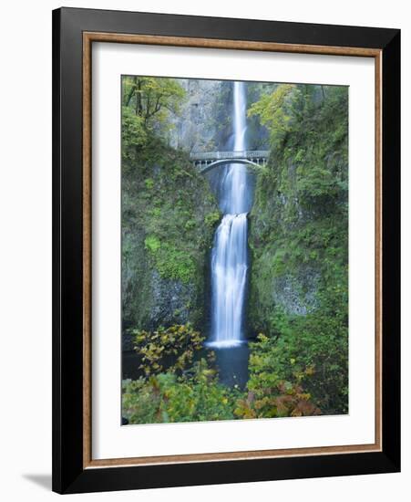 Oregon, Columbia River Gorge National Scenic Area, Multnomah Falls-Jamie & Judy Wild-Framed Photographic Print