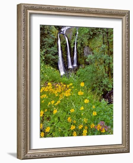 Oregon, Columbia River Gorge National Scenic Area. Triple Falls-Steve Terrill-Framed Photographic Print