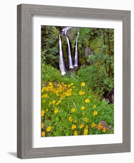 Oregon, Columbia River Gorge National Scenic Area. Triple Falls-Steve Terrill-Framed Photographic Print