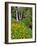 Oregon, Columbia River Gorge National Scenic Area. Triple Falls-Steve Terrill-Framed Photographic Print