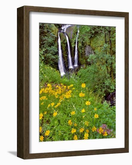 Oregon, Columbia River Gorge National Scenic Area. Triple Falls-Steve Terrill-Framed Photographic Print