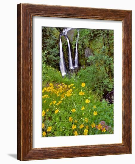 Oregon, Columbia River Gorge National Scenic Area. Triple Falls-Steve Terrill-Framed Photographic Print