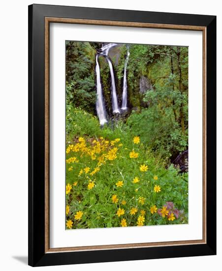 Oregon, Columbia River Gorge National Scenic Area. Triple Falls-Steve Terrill-Framed Photographic Print