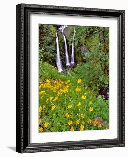 Oregon, Columbia River Gorge National Scenic Area. Triple Falls-Steve Terrill-Framed Photographic Print