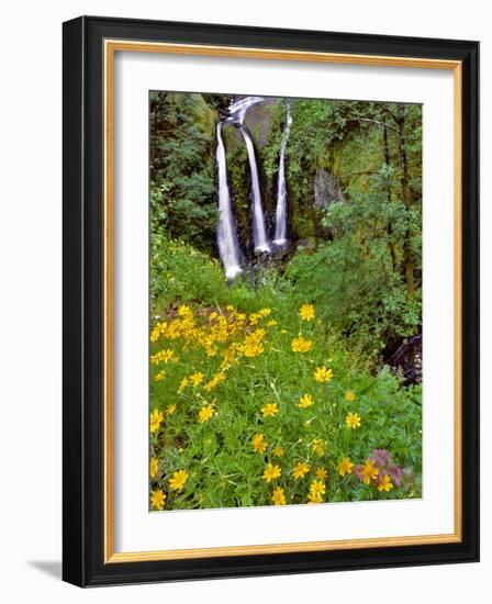 Oregon, Columbia River Gorge National Scenic Area. Triple Falls-Steve Terrill-Framed Photographic Print