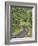 Oregon, Columbia River Gorge. Road Lined with Oak Trees-Steve Terrill-Framed Photographic Print