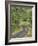 Oregon, Columbia River Gorge. Road Lined with Oak Trees-Steve Terrill-Framed Photographic Print