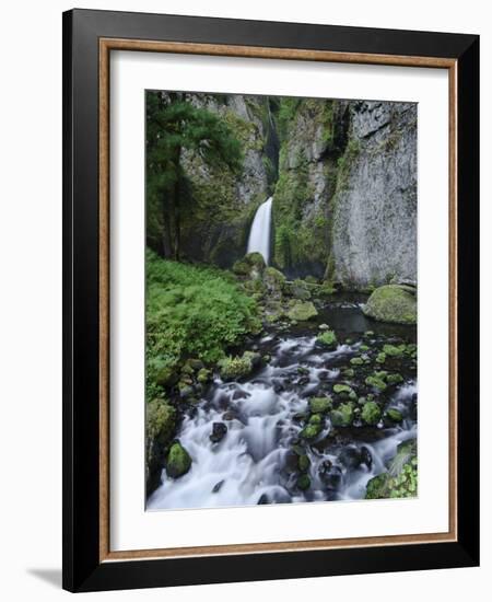 Oregon, Columbia River Gorge, Waclella Falls, USA-Michele Falzone-Framed Photographic Print
